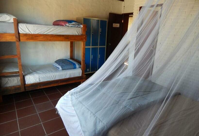 패밀리 룸, Piedra Alta Hostel & Suites