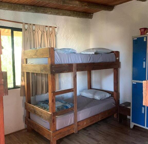 공동 객실, Piedra Alta Hostel & Suites