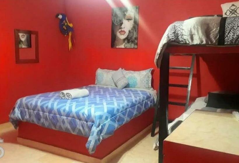 Семейный Номер, Windmill Hostal