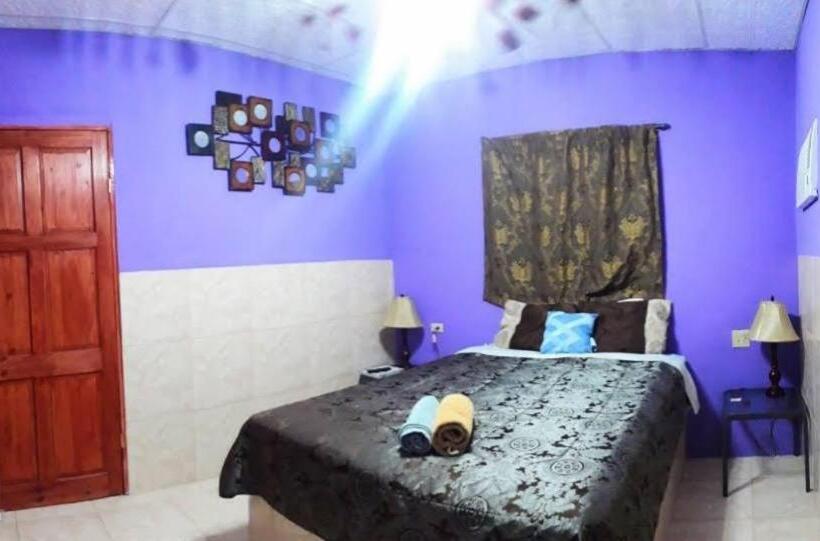 Студия Стандарт, Windmill Hostal