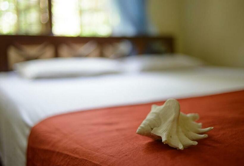 اتاق استاندارد, Paradise Galle