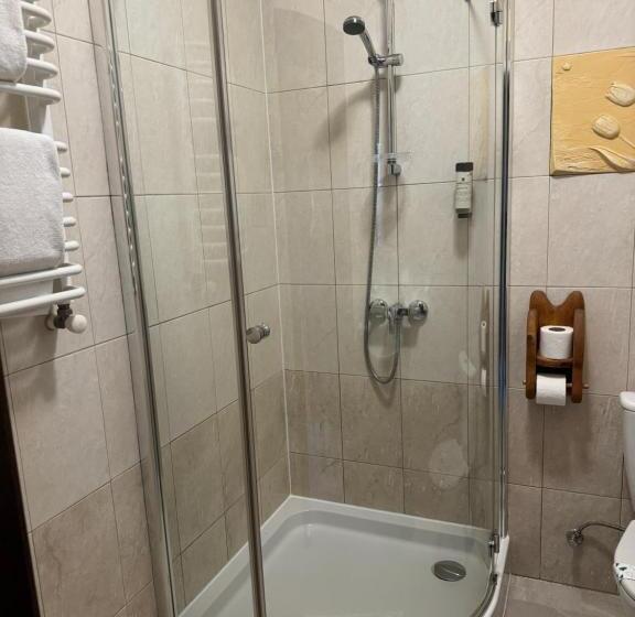 חדר סטנדרט, Stara Pravda Hotel   History