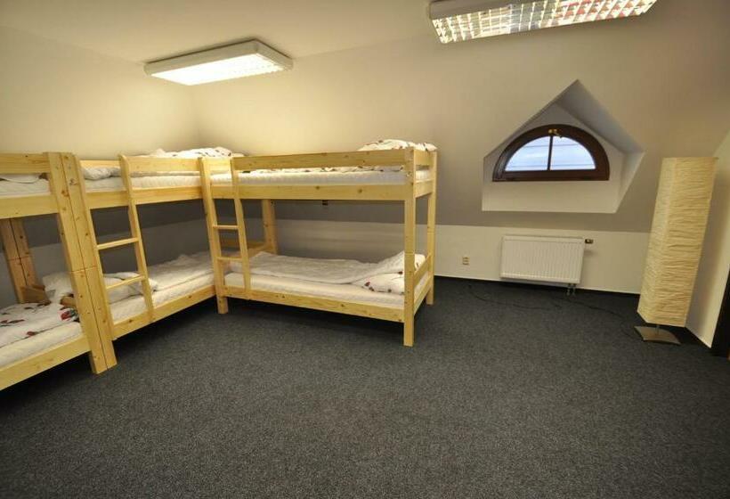 공동 객실, Hostel John Galt