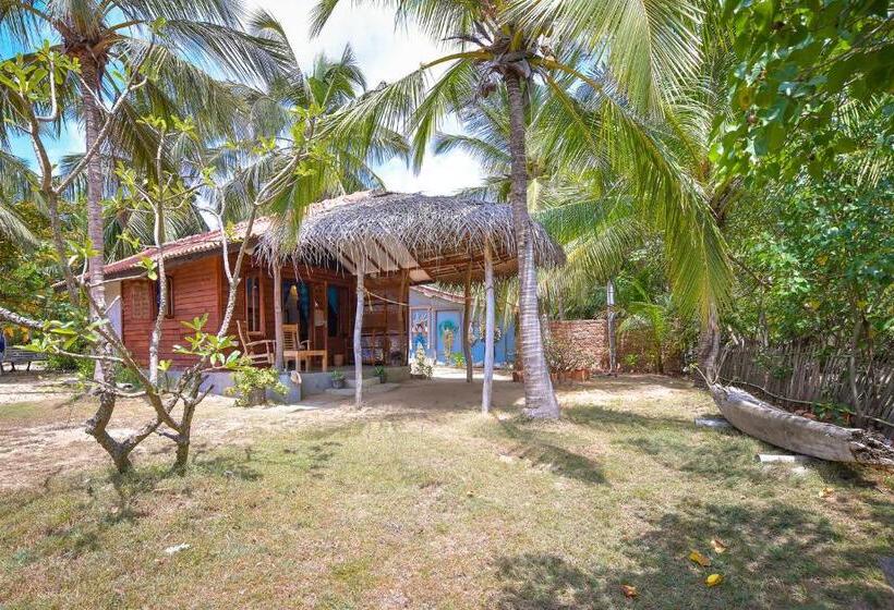 بانگلوی سوپریور, Kitesurfing Lanka