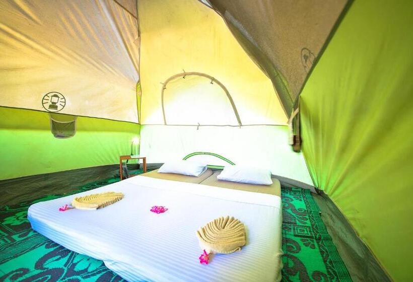 چادر با خدمات رفاهی استاندارد, Kitesurfing Lanka