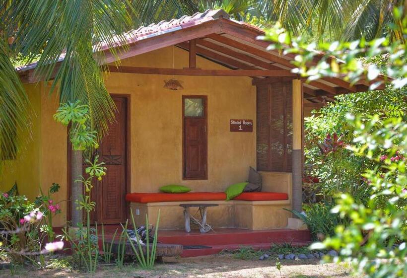 بانگلوی استاندارد, Kitesurfing Lanka