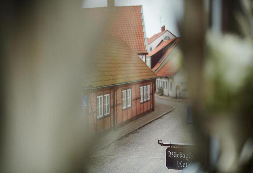 Номер Стандарт, L Bäckagården