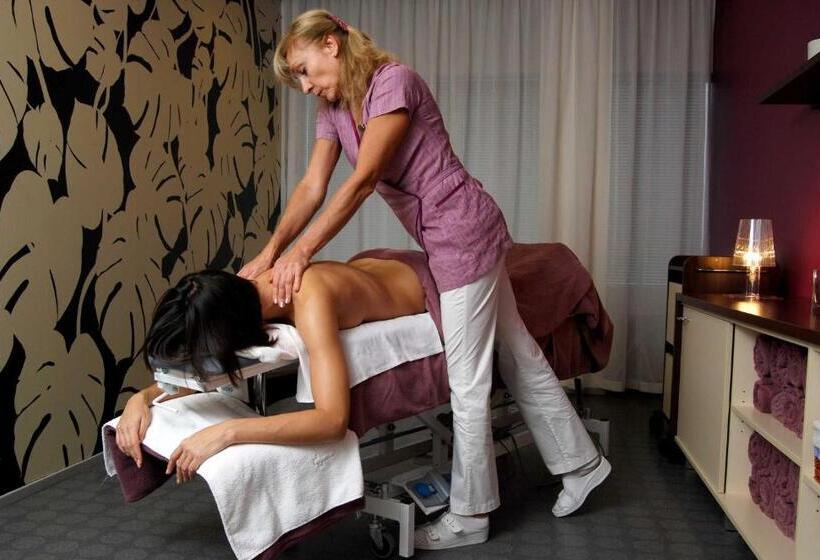 اتاق استاندارد, Spa Tervise Paradiis