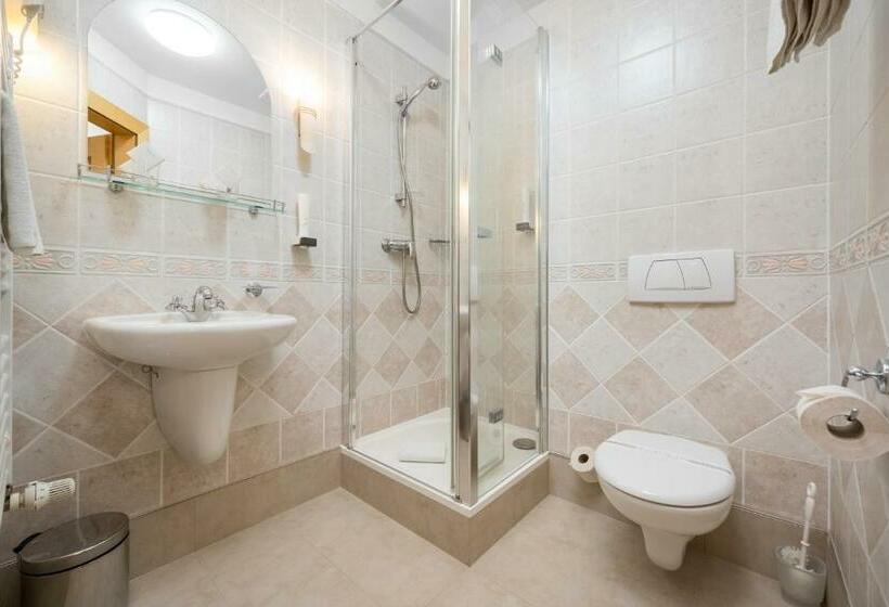 Standard Yhden Hengen Huone, Zlaty Lev