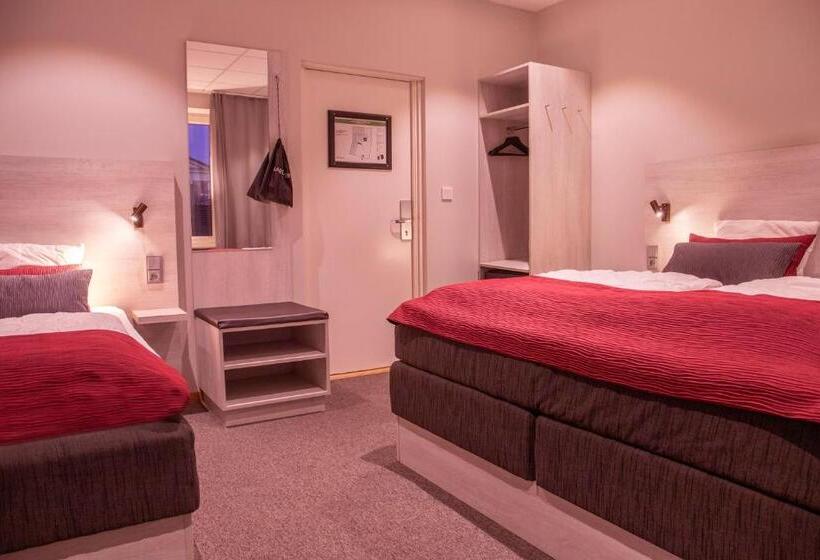 اتاق استاندارد سه تخته با سرویس بهداشتی مشترک, Dream  Luxury Hostel