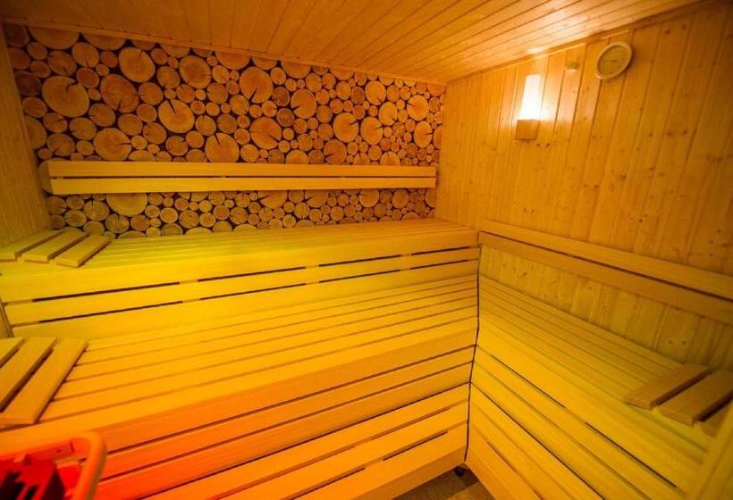 חדר סטנדרט יחיד, Berghotel Tgantieni