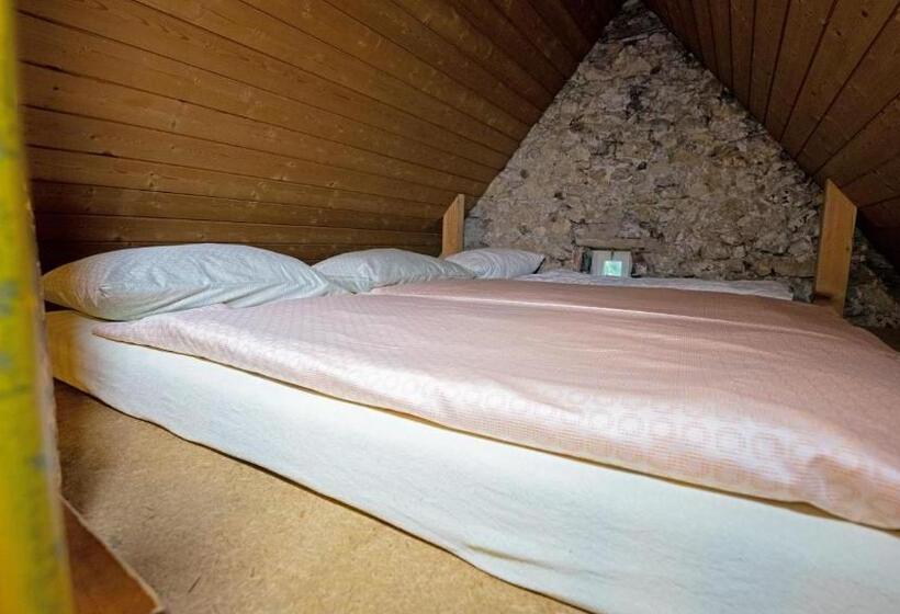 ルームシェアのワンベッド, Brugg Youth Hostel