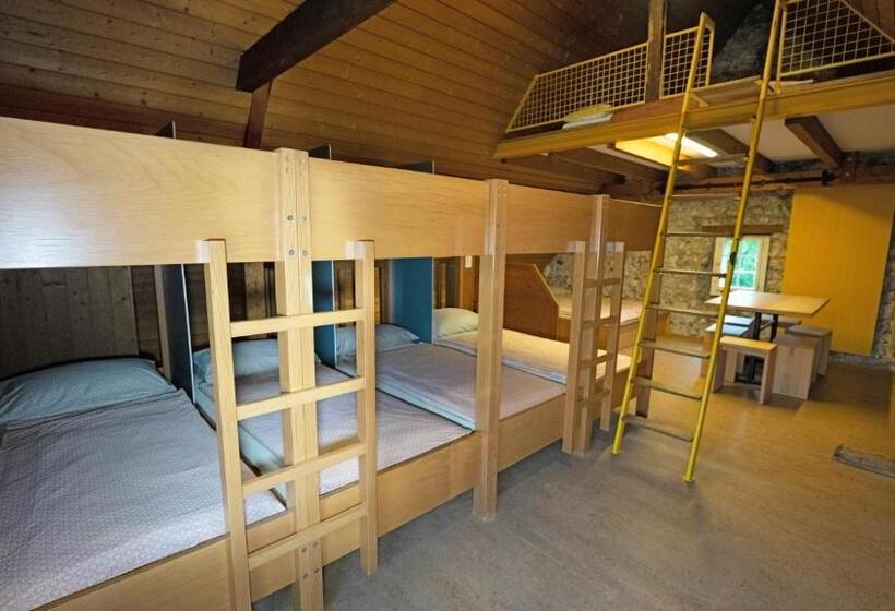 ルームシェアのワンベッド, Brugg Youth Hostel