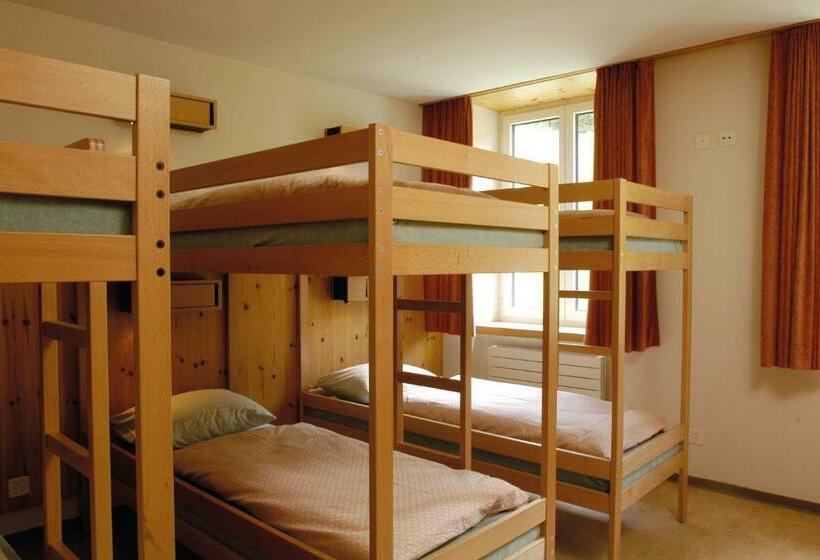 共用房间的床, Davos Youth Hostel