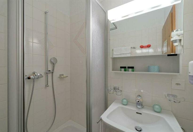 Номер Стандарт Вид на Горы, Hôtel Terminus