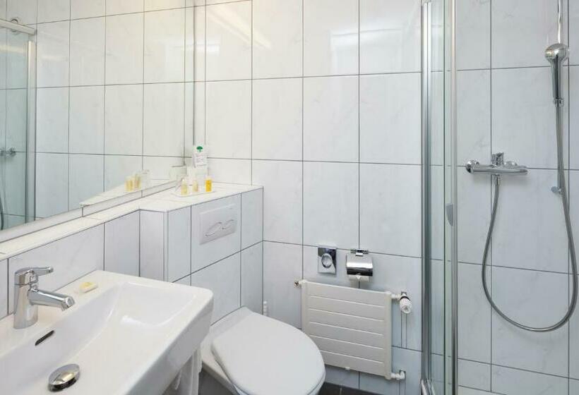 חדר סטנדרט נוף להרים, Rigi Kaltbad Swiss Quality