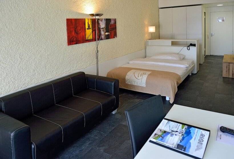 חדר סטנדרט יחיד, Rigi Kaltbad Swiss Quality