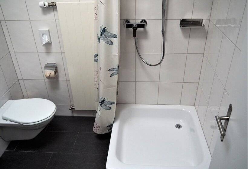 اتاق استاندارد چهار تخته, Jugendherberge Romanshorn
