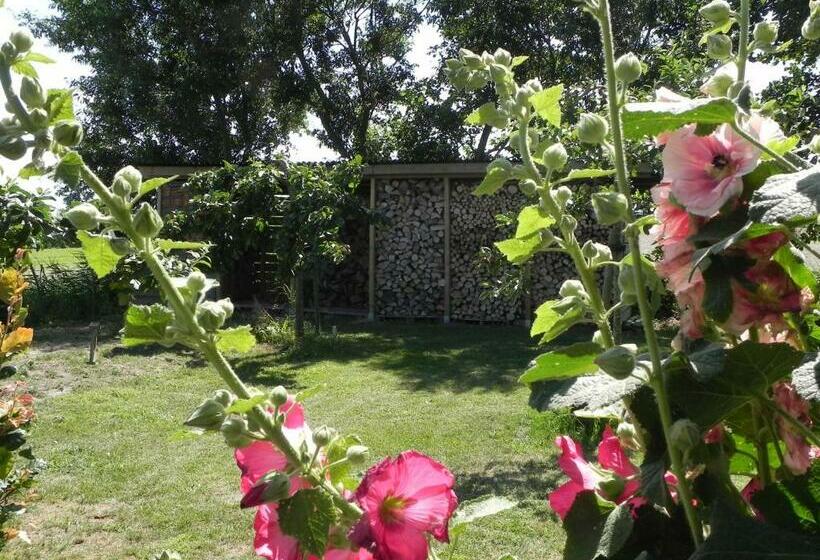 Номер Стандарт, Appels En Peren Bed And Breakfast