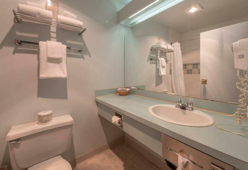 이그제큐티브 룸 킹사이즈 침대, The Cedars Inn Hotel & Convention Centre