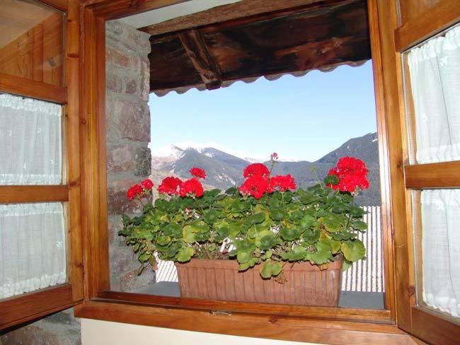Номер Стандарт, Casa Palacin