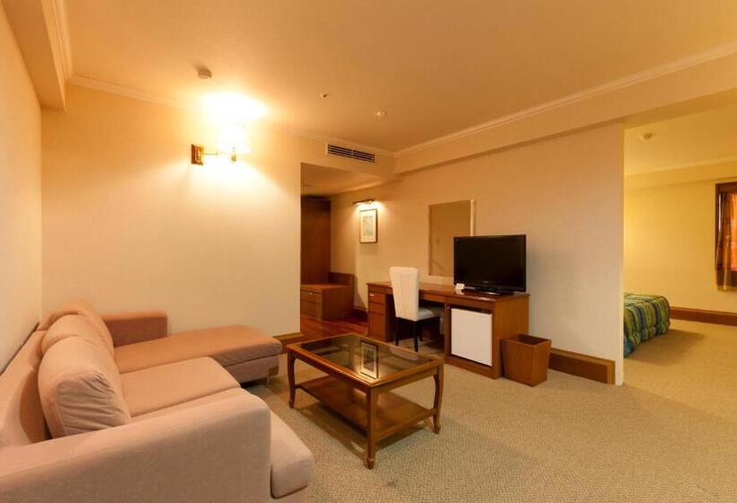 Номер Superior, Station Hotel Au