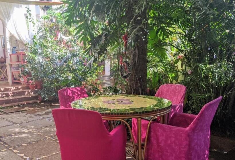 标准间, Michele S Garden