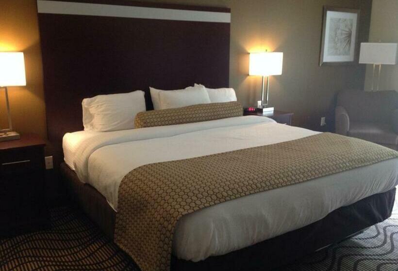 带大床的标准间, Executive Inn And Suites Jefferson