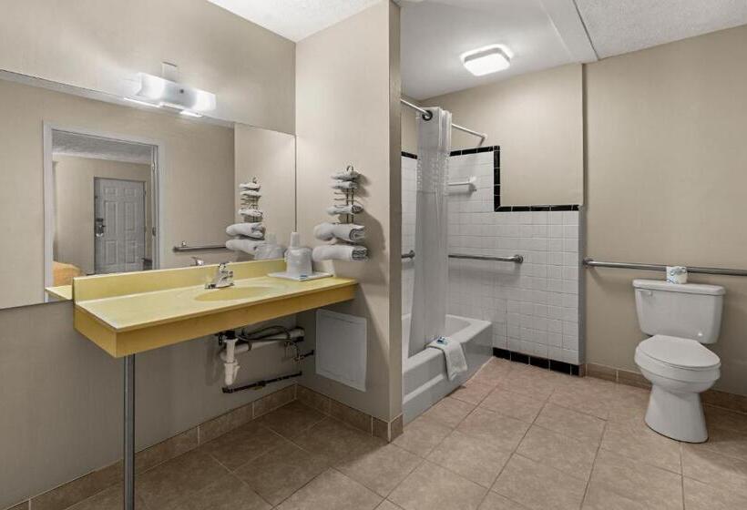 غرفة قياسية سرير كينج لذوى الإحتياجات الخاصة, Rodeway Inn