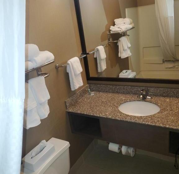 Номер Стандарт Кровать Квин Адаптированный для Инвалидов, Best Western Maple City Inn