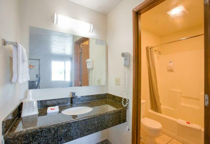 Стандартный Номер Кровать Кинг, OYO Woodland Hotel and Suites