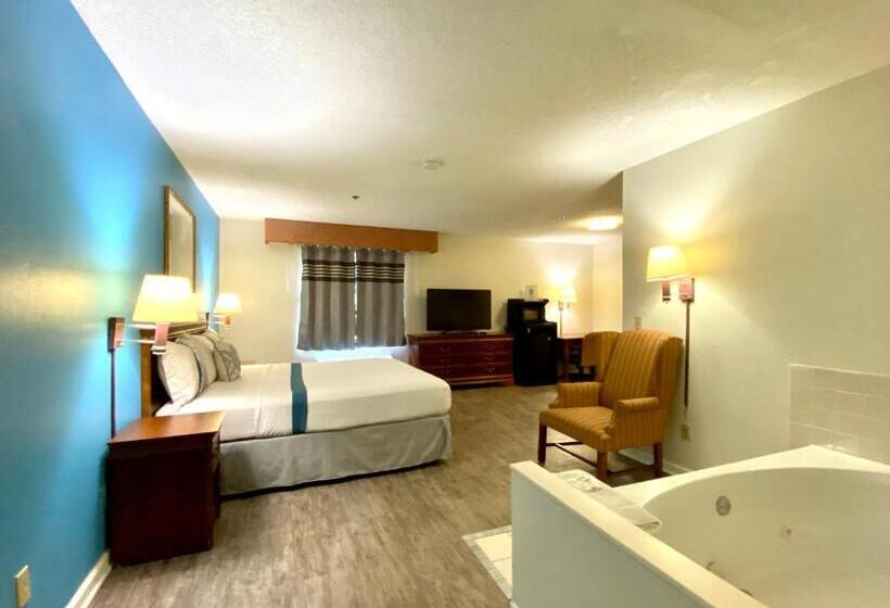 스탠다드 룸 킹사이즈 침대, Fairbridge Inn Express Mount Vernon