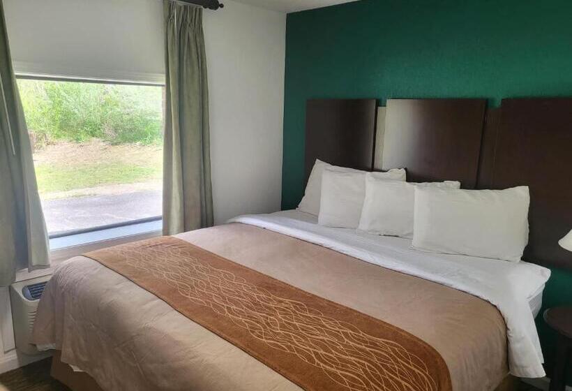 小室, Pinetree Inn