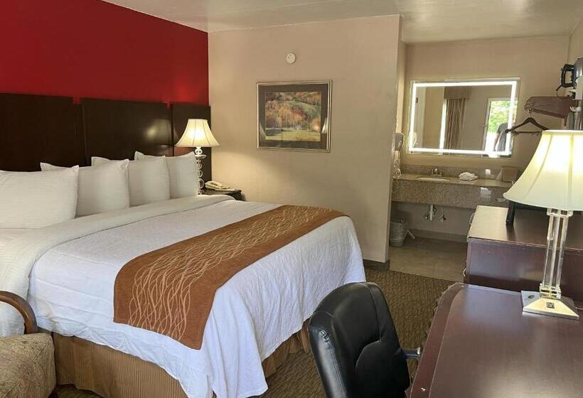 带大床的标准间, Pinetree Inn