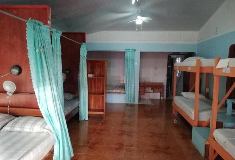 Кровать в Общей Комнате, Corcovado Wild Hostel