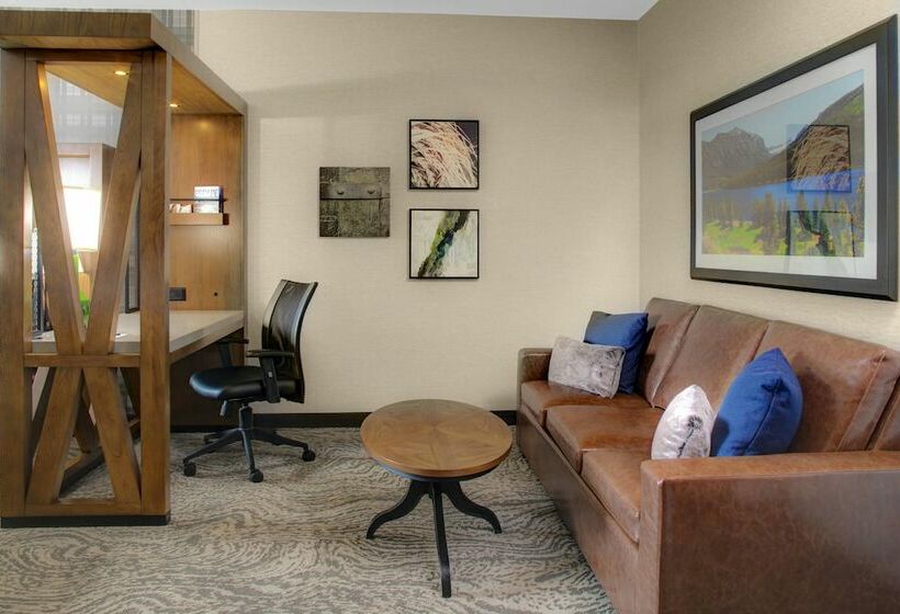스위트, Springhill Suites By Marriott Bozeman