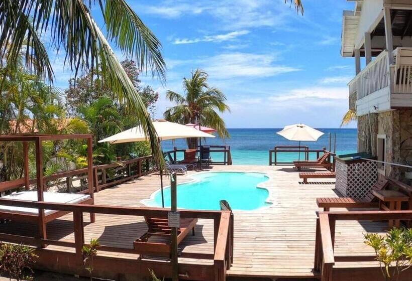 بانگلوی استاندارد با چشم‌انداز دریا, Coconut Tree West Bay