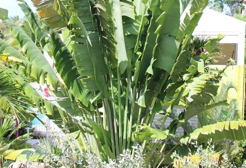ویلای 2 خوابه, Majesty Palm