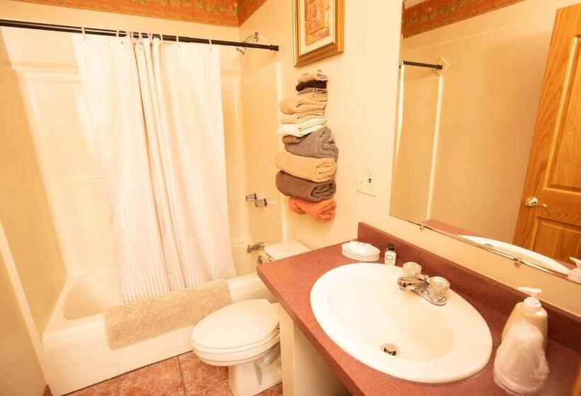 Номер Стандарт, Blue Spruce Motel