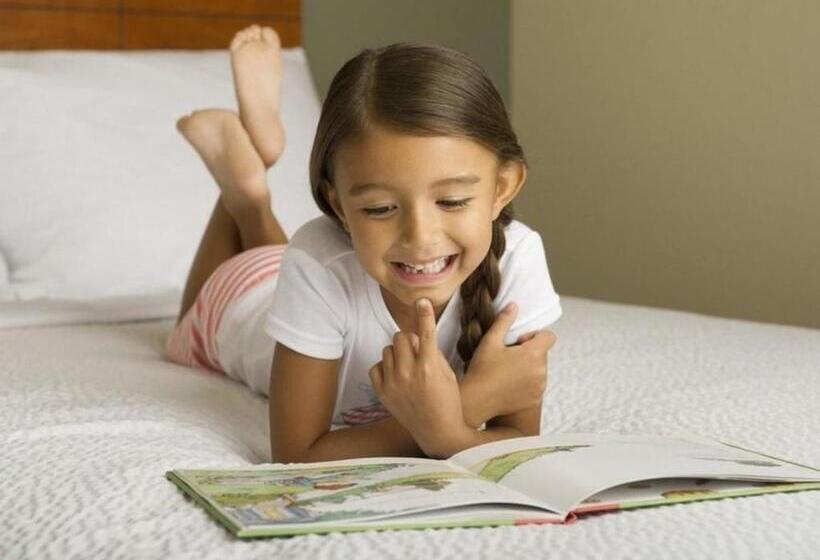 장애인을 위한 스탠다드 룸, Woodspring Suites Lafayette