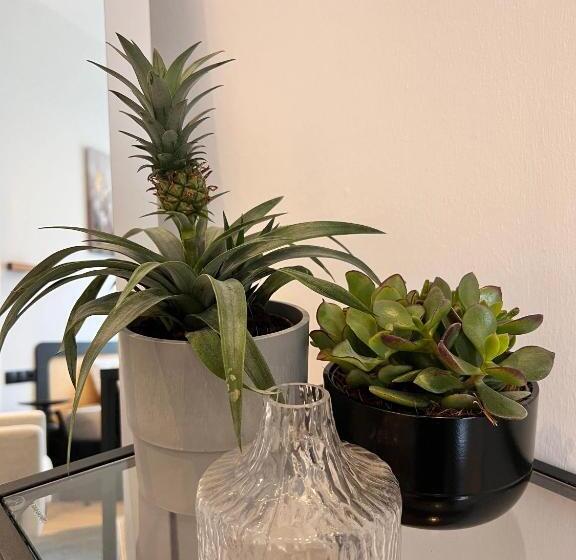 استودیوی استاندارد, Modern Stay I Cosy & Central Apartments