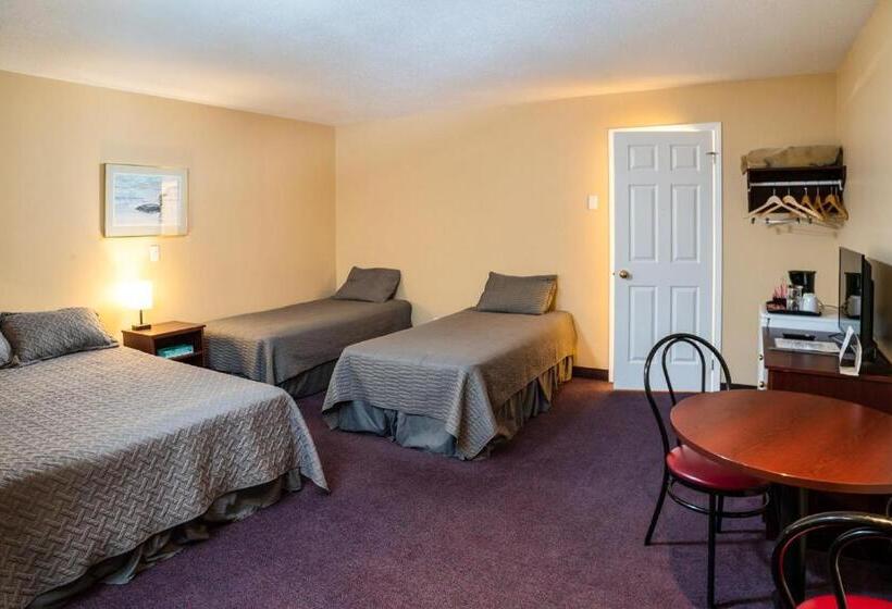Номер Стандарт, Motel Royal Papineau