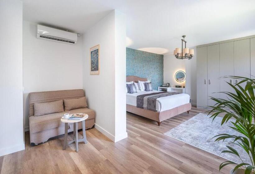 Полулюкс Вид на Море, Hillora Hotel Buyukada