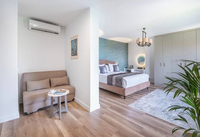 Полулюкс Вид на Море, Hillora Hotel Buyukada