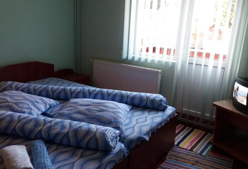 اتاق لوکس با بالکن, Casa Andreea Maria