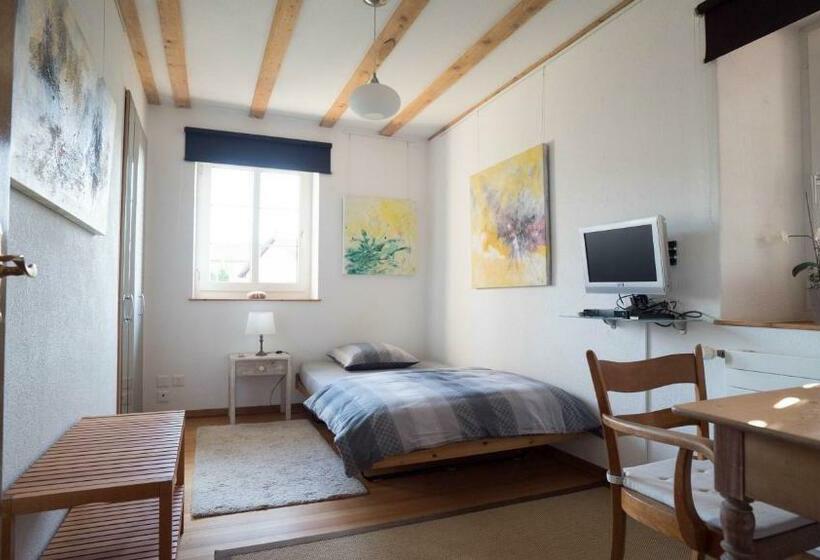 Номер Стандарт Индивидуальный Совместная Ванная, B&b Casa Scaletto Turgi
