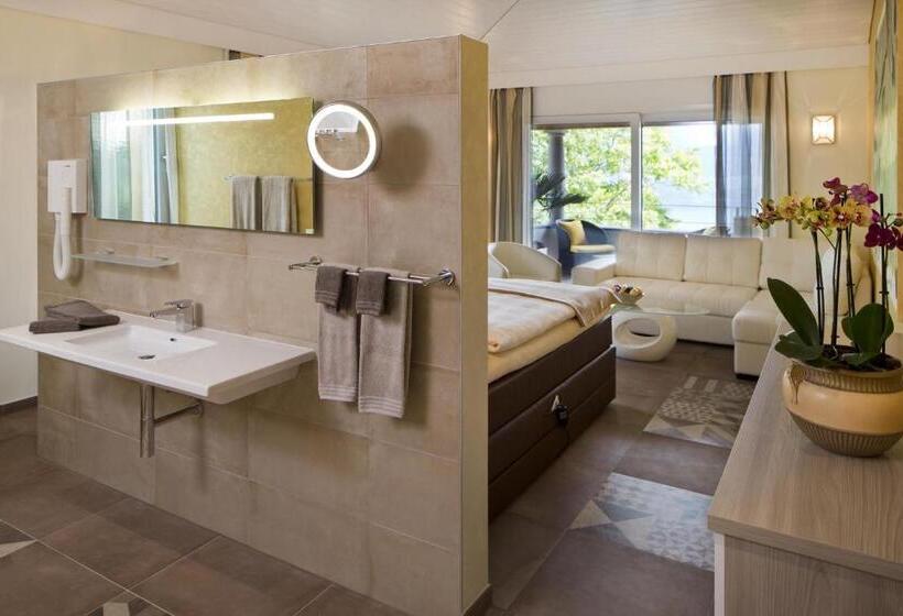 Полулюкс Superior, Boutique Hotel Albergo Brione