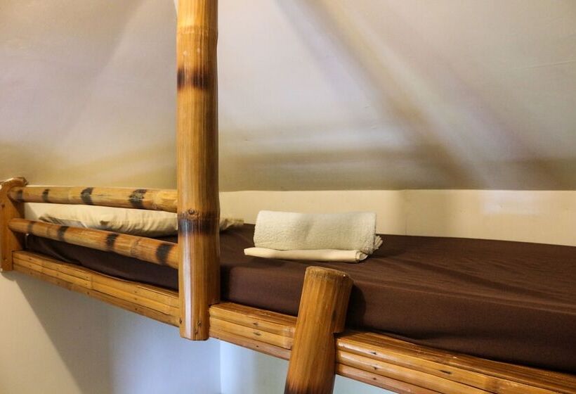 اتاق استاندارد, Seasta Beach Resort