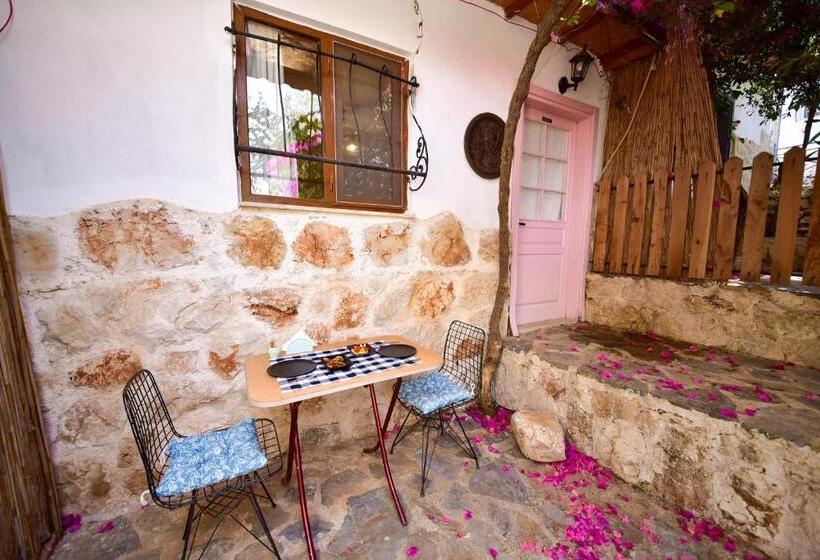 标准房带园景, Kaş Taş Otel