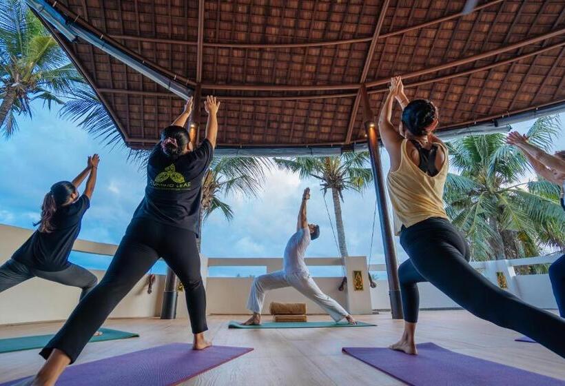 Номер Стандарт, The Bodhi Leaf Wellness Resort